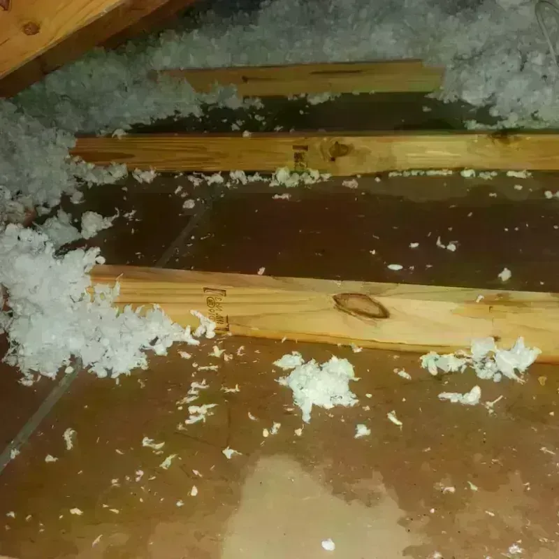 Attic Water Damage in Hardin County, TX