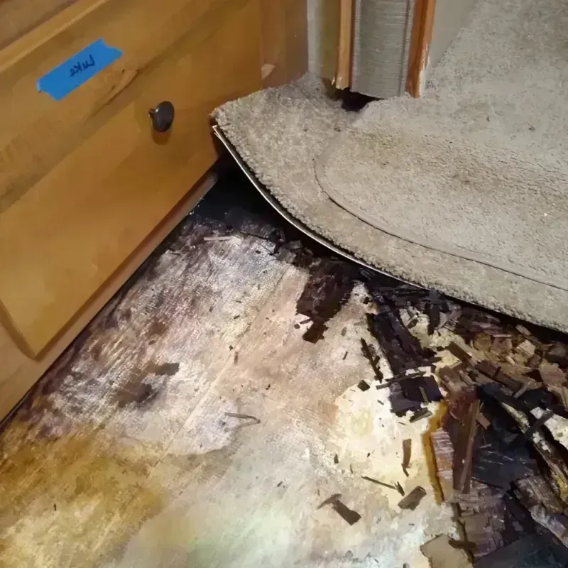 Wood Floor Water Damage in Hardin County, TX